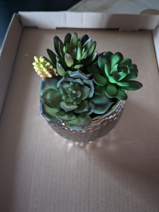 Imitation Succulent Planter